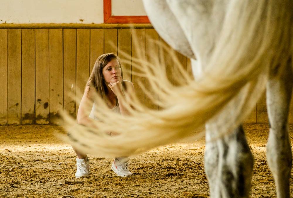 EquiYoga – Rencontrer Son Potentiel