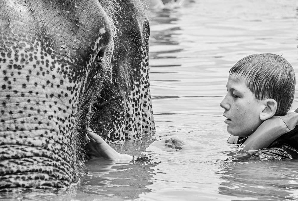 Les Ambassades de la Résilience – Sur les Traces de Mowgli