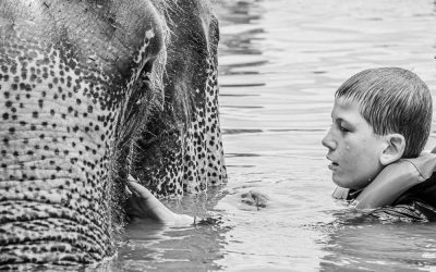 Les Ambassades de la Résilience – Sur les Traces de Mowgli