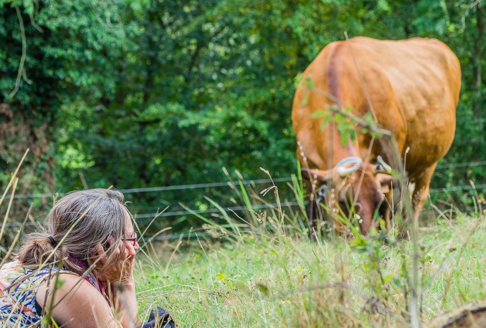 Terre Originelle – Dans La Paix Suprème des Vaches Sacrées