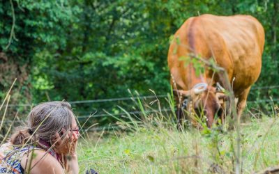 Terre Originelle – Dans La Paix Suprème des Vaches Sacrées