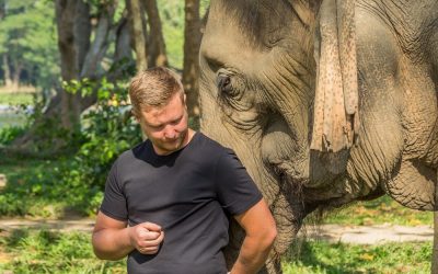 A Coeur D&rsquo;Etre –  Dans L&rsquo;Infinie Douceur des Eléphants